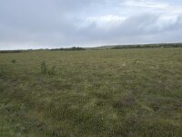 N, Nordland, Andoy, Dverberg 10, Saxifraga-Willem van Kruijsbergen