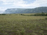 N, Nordland, Andoy, Dverberg 9, Saxifraga-Willem van Kruijsbergen