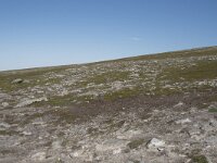 N, Nordland, Andoy, Nonstinden 30, Saxifraga-Willem van Kruijsbergen