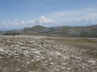 N, Nordland, Andoy, Nonstinden 31, Saxifraga-Willem van Kruijsbergen