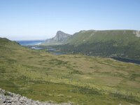 N, Nordland, Andoy, Nonstinden 33, Saxifraga-Willem van Kruijsbergen