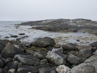 N, Nordland, Andoy, Noss 6, Saxifraga-Willem van Kruijsbergen