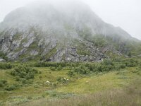 N, Nordland, Andoy, Noss 9, Saxifraga-Willem van Kruijsbergen