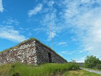 N, Nordland, Bodo 29, Saxifraga-Hans Dekker
