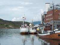 N, Nordland, Bodo 32, Saxifraga-Hans Dekker