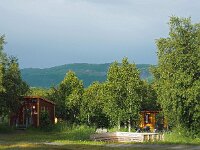 N, Nordland, Bodo 41, Saxifraga-Hans Dekker