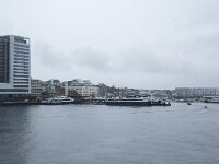 N, Nordland, Bodo, Bodo 45, Saxifraga-Willem van Kruijsbergen