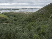 N, Nordland, Bronnoy, Torghatten 22, Saxifraga-Willem van Kruijsbergen