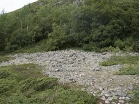 N, Nordland, Bronnoy, Torghatten 23, Saxifraga-Willem van Kruijsbergen