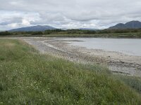 N, Nordland, Bronnoy, Torghatten 25, Saxifraga-Willem van Kruijsbergen