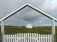 N, Nordland, Flakstad 2, Saxifraga-Hans Dekker