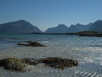 N, Nordland, Flakstad, Fredvang 26, Saxifraga-Marijke Verhagen