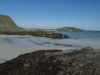 N, Nordland, Flakstad, Fredvang 27, Saxifraga-Marijke Verhagen