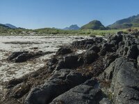 N, Nordland, Flakstad, Fredvang 28, Saxifraga-Marijke Verhagen