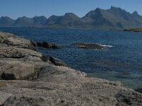 N, Nordland, Flakstad, Fredvang 32, Saxifraga-Jan van der Straaten