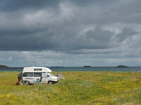 N, Nordland, Flakstad, Fredvang 46, Saxifraga-Hans Dekker