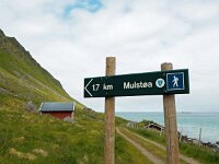 N, Nordland, Flakstad, Fredvang 50, Saxifraga-Hans Dekker