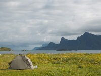 N, Nordland, Flakstad, Fredvang 53, Saxifraga-Hans Dekker