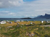 N, Nordland, Flakstad, Fredvang 60, Saxifraga-Hans Dekker