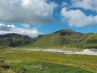 N, Nordland, Flakstad, Fredvang 67, Saxifraga-Hans Dekker