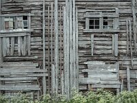 N, Nordland, Flakstad, Fredvang 68, Saxifraga-Hans Dekker