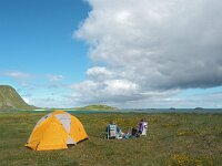 N, Nordland, Flakstad, Fredvang 69, Saxifraga-Hans Dekker
