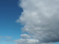 N, Nordland, Flakstad, Fredvang 70, Saxifraga-Hans Dekker