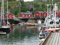 N, Nordland, Flakstad, Nusfjord 1, Saxifraga-Marjan van der Heide