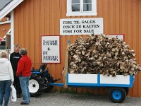 N, Nordland, Flakstad, Nusfjord 3, Saxifraga-Marjan van der Heide