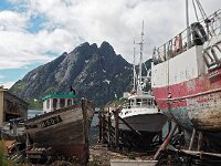 N, Nordland, Flakstad, Sund 3, Saxifraga-Hans Dekker