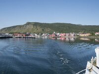 N, Nordland, Hadsel, Melbu 2, Saxifraga-Willem van Kruijsbergen