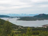 N, Nordland, Hamaroy, Innhavet 1, Saxifraga-Hans Dekker