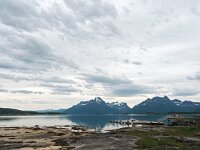 N, Nordland, Hamaroy, Skutvik 16, Saxifraga-Hans Dekker
