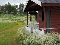 N, Nordland, Hamaroy, Skutvik 27, Saxifraga-Hans Dekker