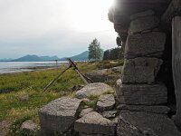 N, Nordland, Hamaroy, Skutvik 28, Saxifraga-Hans Dekker