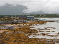 N, Nordland, Hamaroy, Skutvik 5, Saxifraga-Hans Dekker