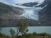N, Nordland, Meloy, Svartisen 34, Saxifraga-Marijke Verhagen