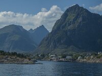 N, Nordland, Moskenes 8, Saxifraga-Marijke Verhagen