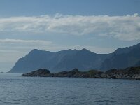 N, Nordland, Moskenes 9, Saxifraga-Marijke Verhagen