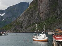 N, Nordland, Moskenes, Hamnoy 1, Saxifraga-Hans Dekker