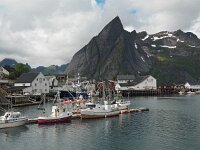 N, Nordland, Moskenes, Hamnoy 3, Saxifraga-Hans Dekker