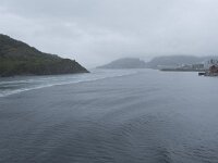 N, Nordland, Moskenes, Moskenes 30, Saxifraga-Willem van Kruijsbergen