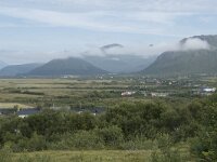 N, Nordland, Myre 2, Saxifraga-Willem van Kruijsbergen