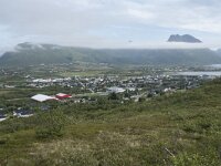 N, Nordland, Myre 5, Saxifraga-Willem van Kruijsbergen