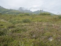 N, Nordland, Myre 6, Saxifraga-Willem van Kruijsbergen