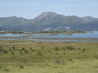 N, Nordland, Oksnes, Gisloya 10, Saxifraga-Willem van Kruijsbergen