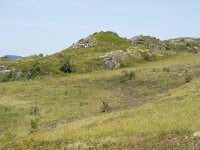 N, Nordland, Oksnes, Gisloya 11, Saxifraga-Willem van Kruijsbergen