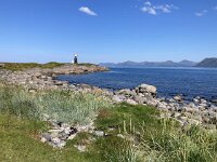 N, Nordland, Oksnes, Gisloya 55, Saxifraga-Willem van Kruijsbergen