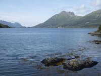 N, Nordland, Oksnes, Steinlandsfjorden 3, Saxifraga-Willem van Kruijsbergen
