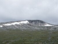 N, Nordland, Rana, Storforshei 15, Saxifraga-Willem van Kruijsbergen